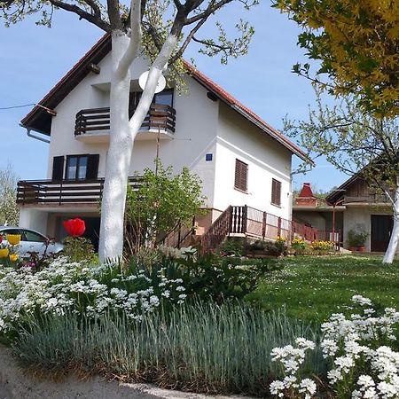 Apartment Ankica Selište Drežničko Exterior foto