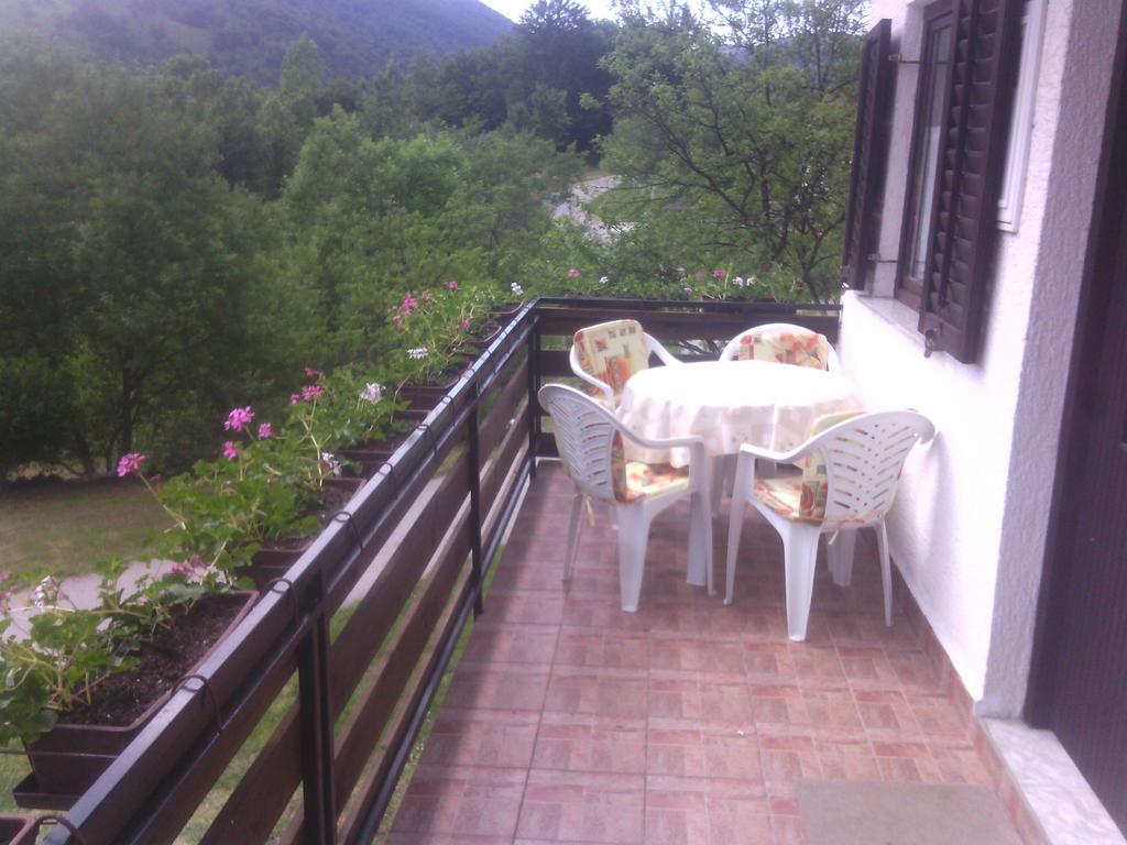Apartment Ankica Selište Drežničko Habitación foto