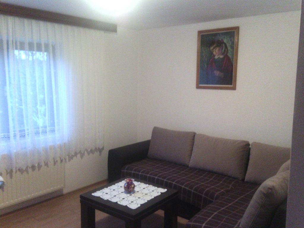 Apartment Ankica Selište Drežničko Habitación foto