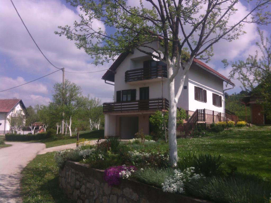 Apartment Ankica Selište Drežničko Habitación foto