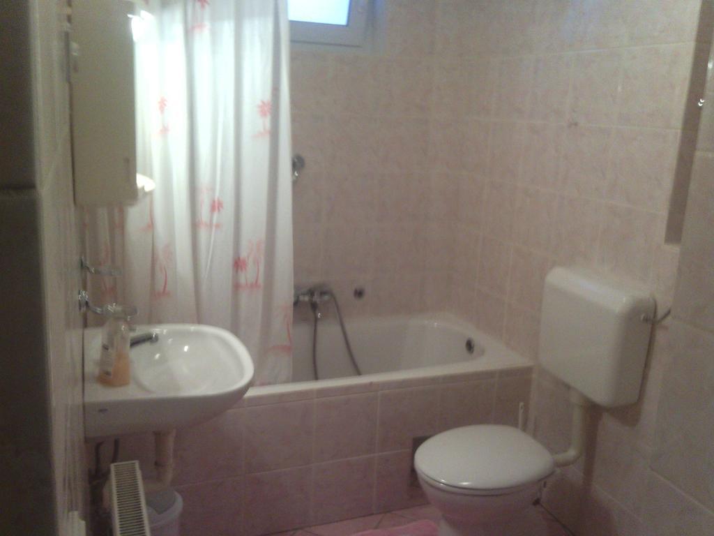 Apartment Ankica Selište Drežničko Habitación foto