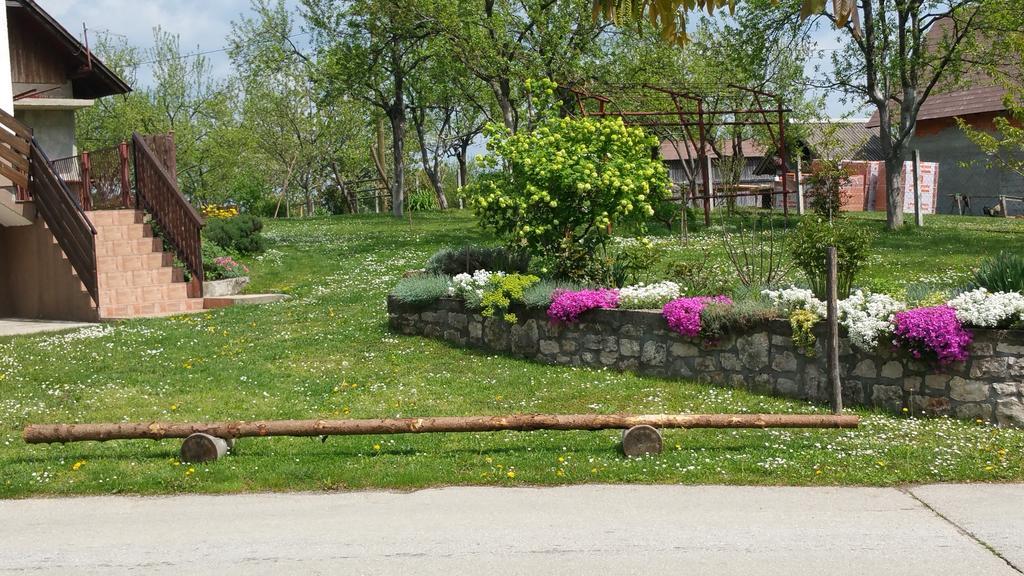 Apartment Ankica Selište Drežničko Exterior foto