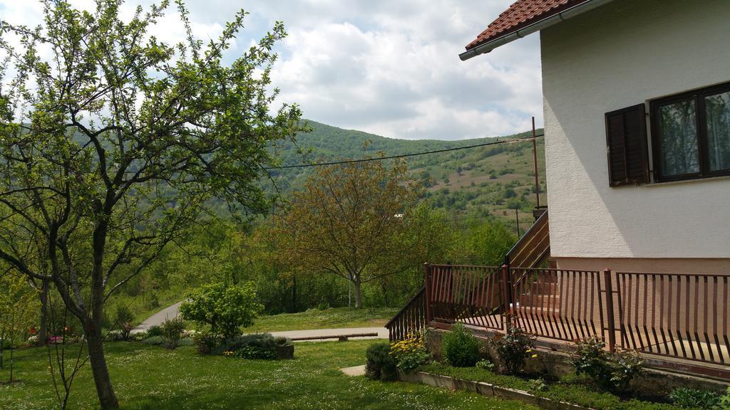 Apartment Ankica Selište Drežničko Exterior foto