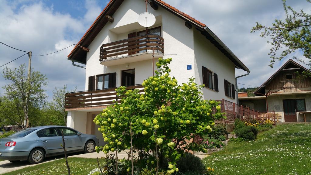 Apartment Ankica Selište Drežničko Exterior foto