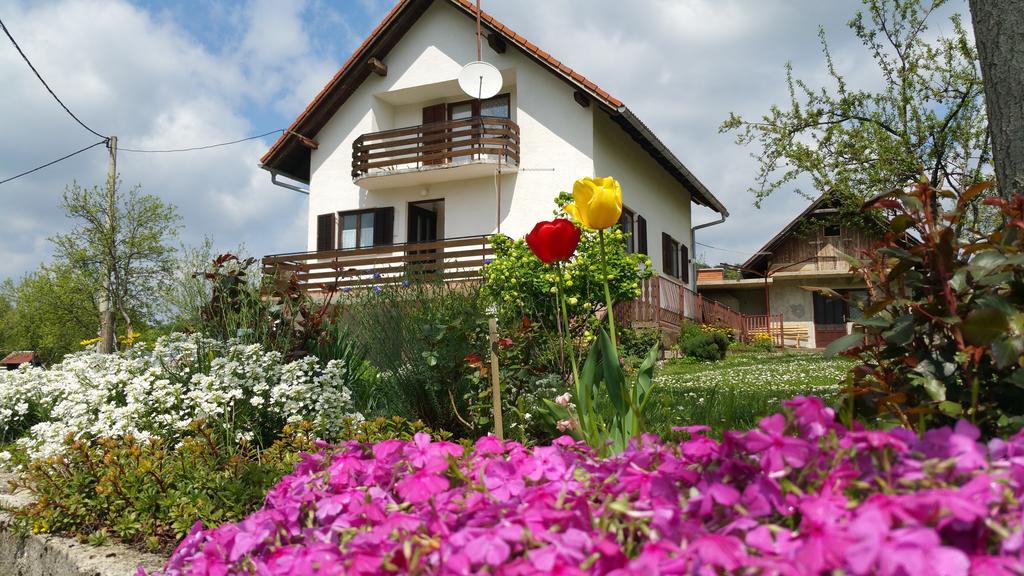 Apartment Ankica Selište Drežničko Exterior foto