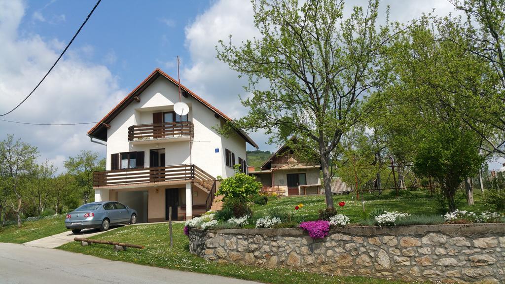 Apartment Ankica Selište Drežničko Exterior foto