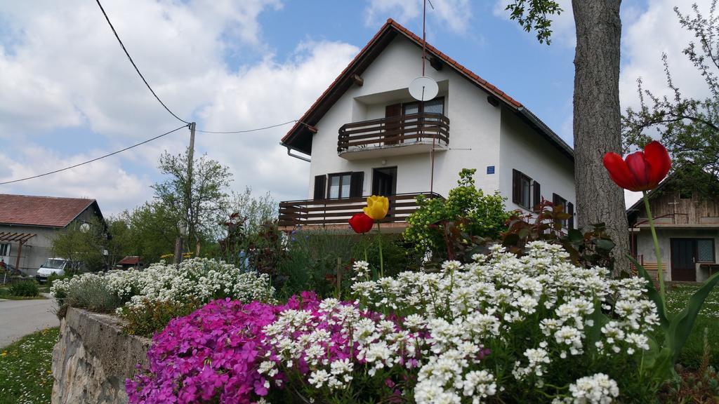 Apartment Ankica Selište Drežničko Exterior foto