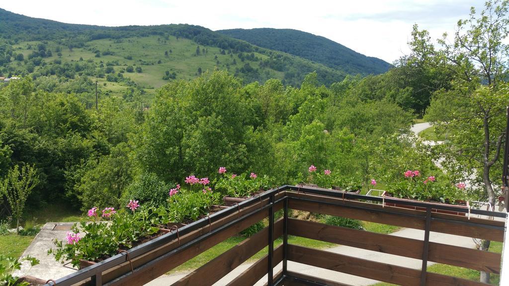Apartment Ankica Selište Drežničko Exterior foto