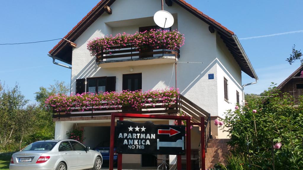 Apartment Ankica Selište Drežničko Exterior foto