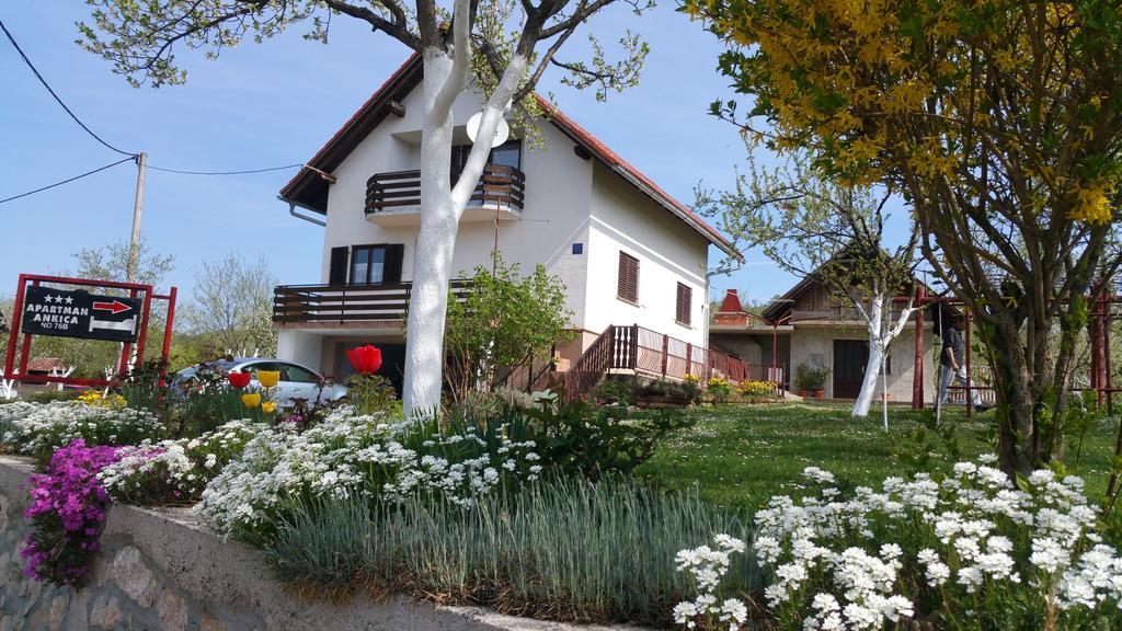 Apartment Ankica Selište Drežničko Exterior foto