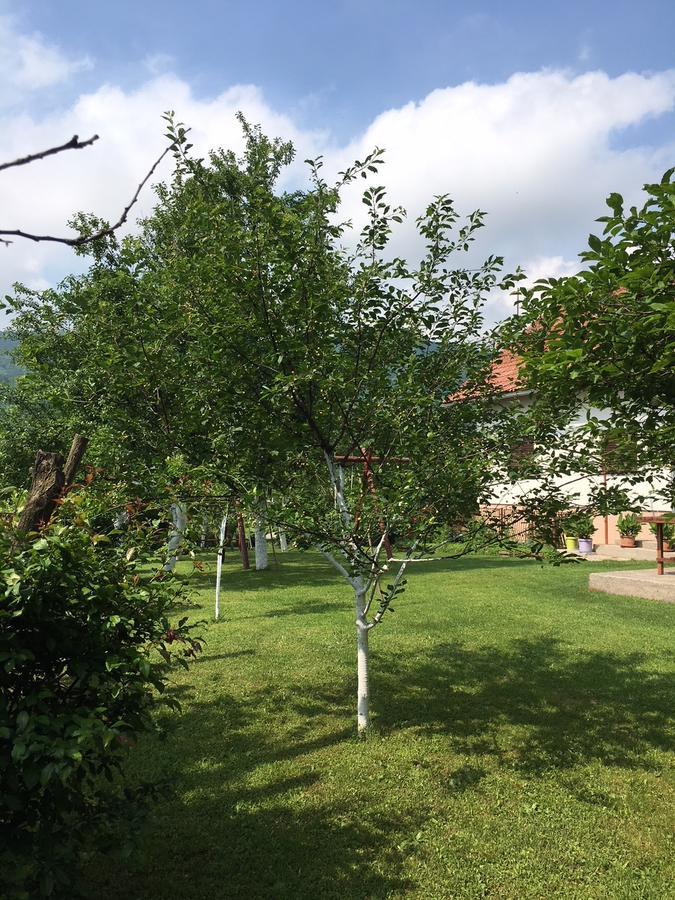 Apartment Ankica Selište Drežničko Exterior foto