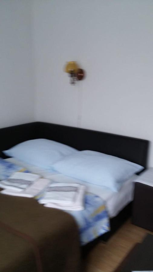 Apartment Ankica Selište Drežničko Exterior foto