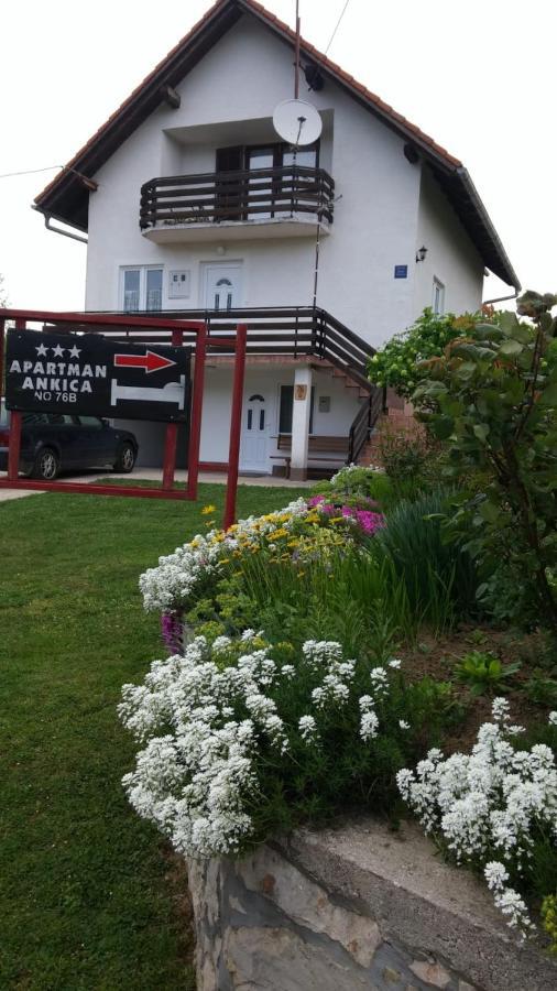 Apartment Ankica Selište Drežničko Exterior foto