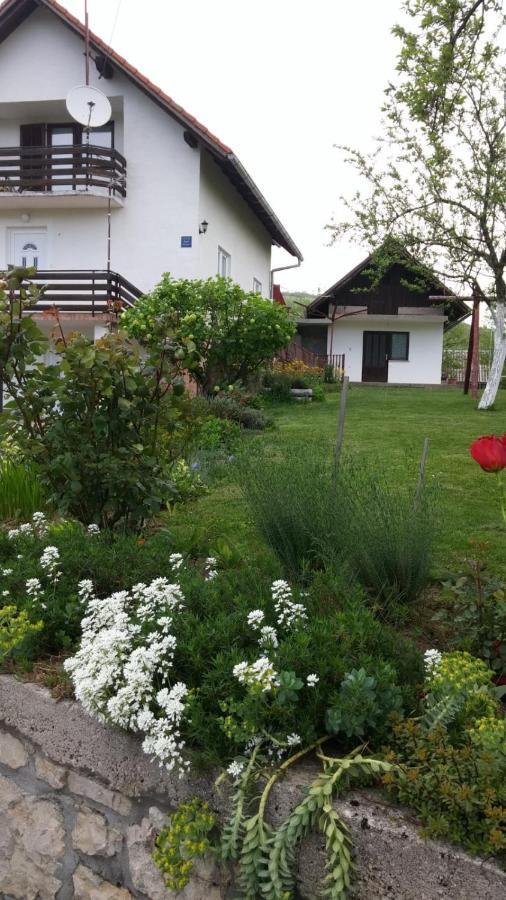 Apartment Ankica Selište Drežničko Exterior foto