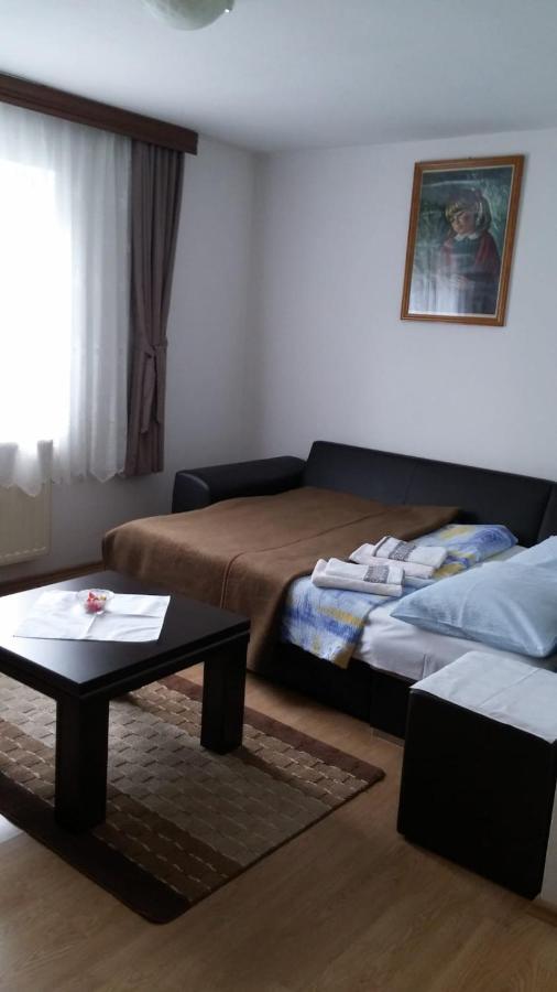 Apartment Ankica Selište Drežničko Exterior foto